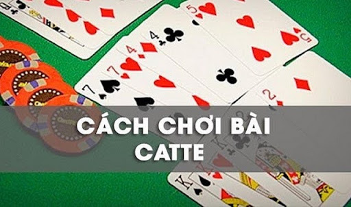 Quy định về luật chơi game bài Catte tại Hit Club